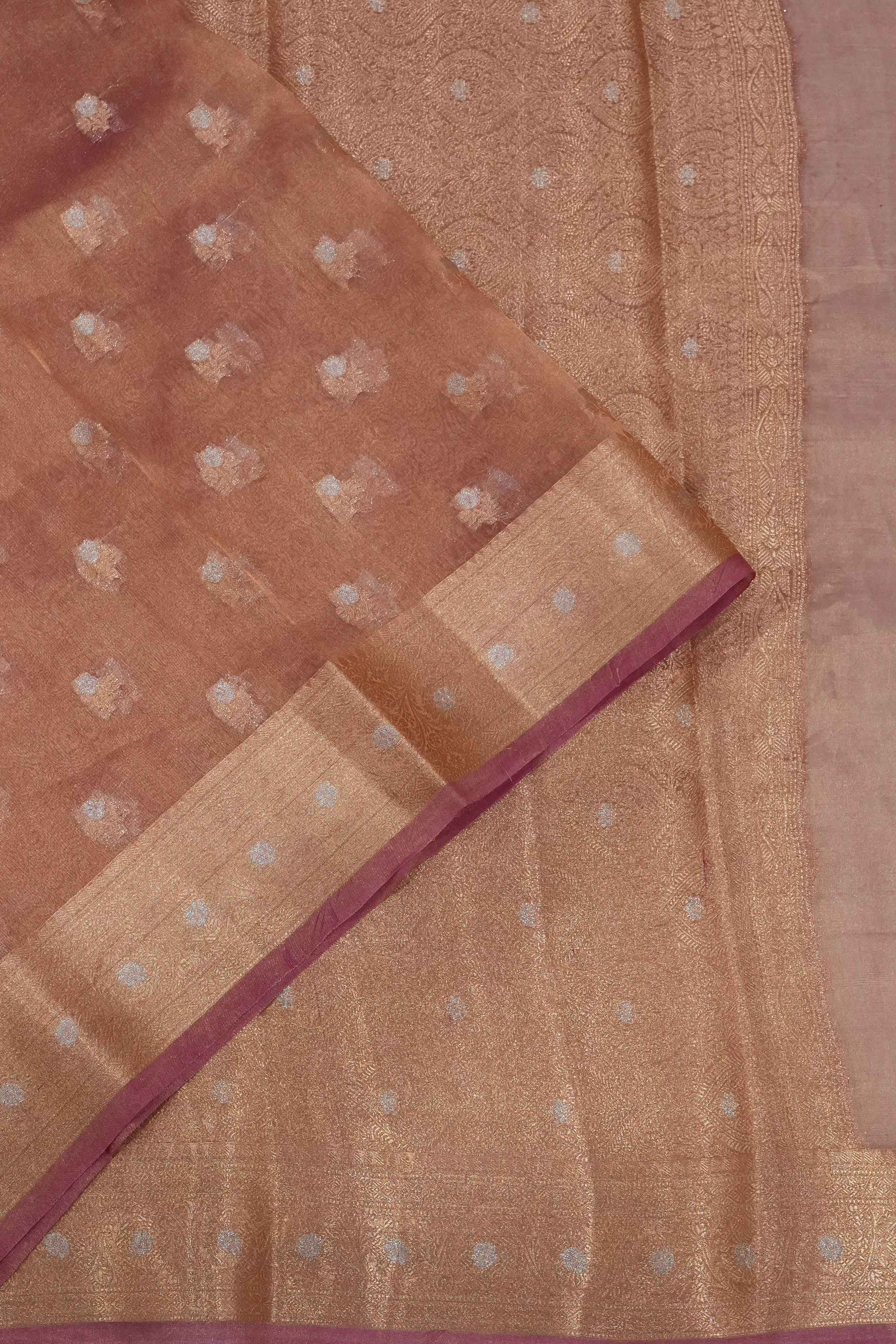 Organza Tissue Brocade Beige Saree