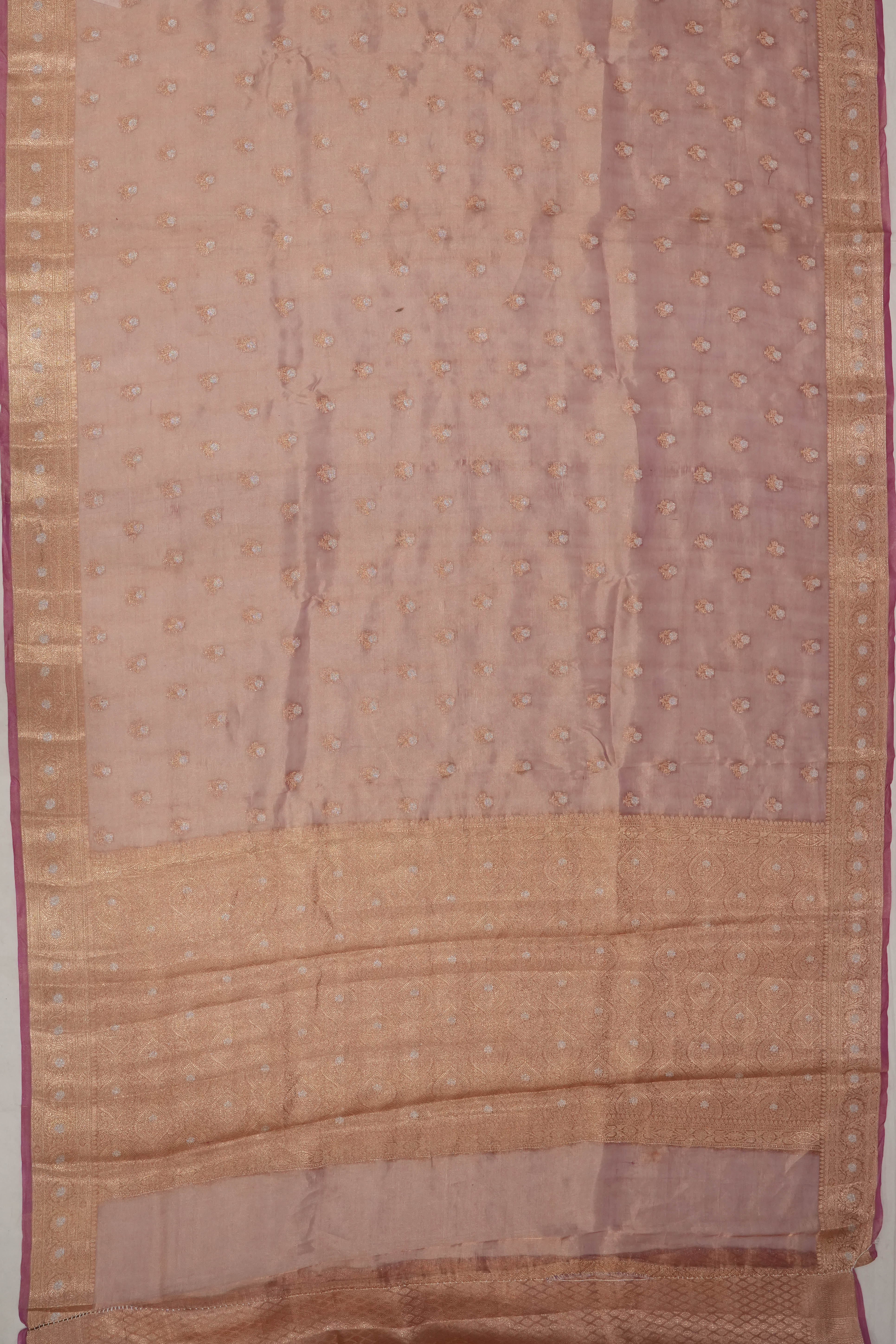 Organza Tissue Brocade Beige Saree