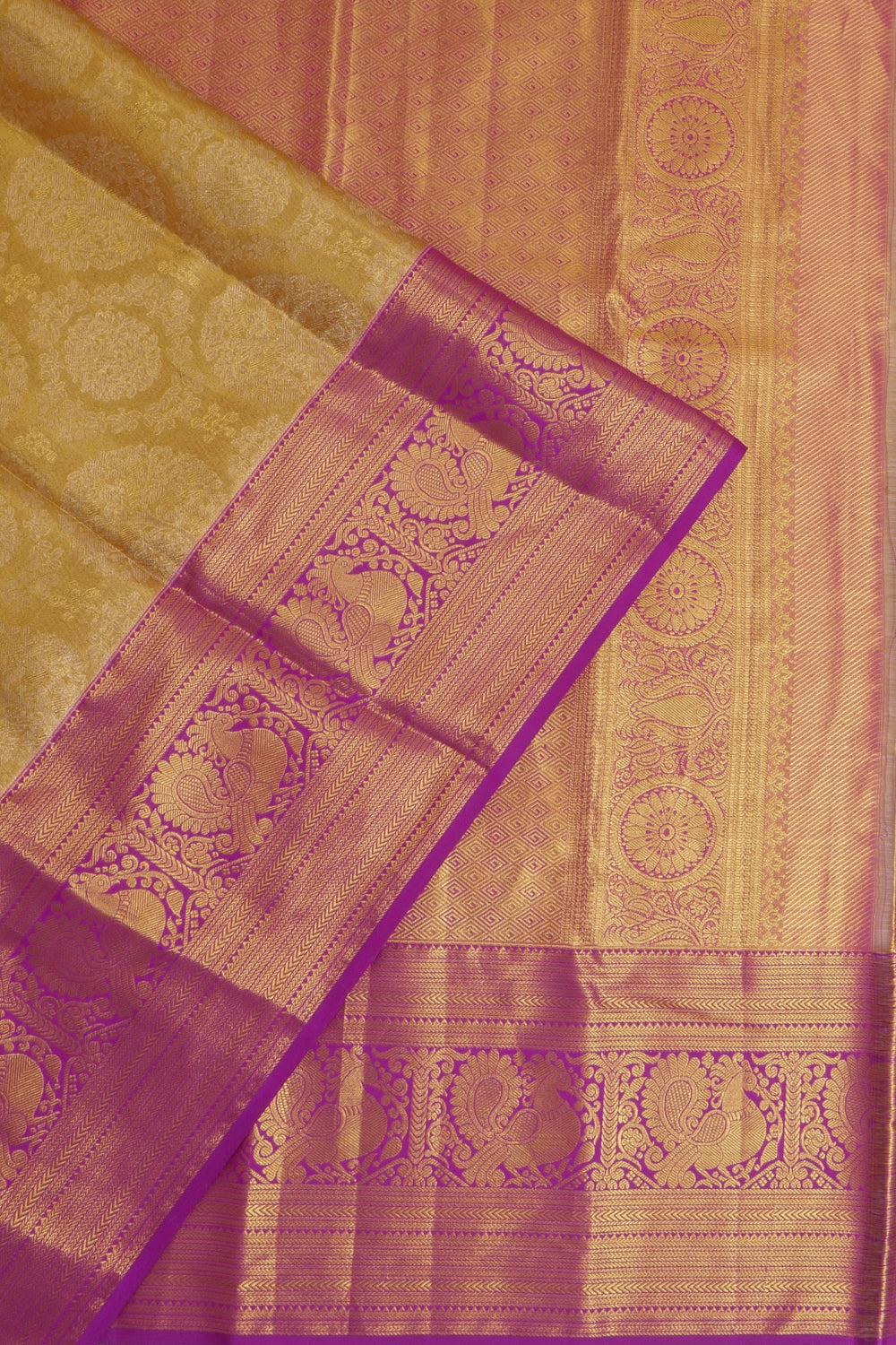 Taranga Kanchi Silk Tissue Brocade Gold Saree