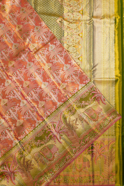 Taranga Kanchi Silk Tissue Brocade Orange Saree