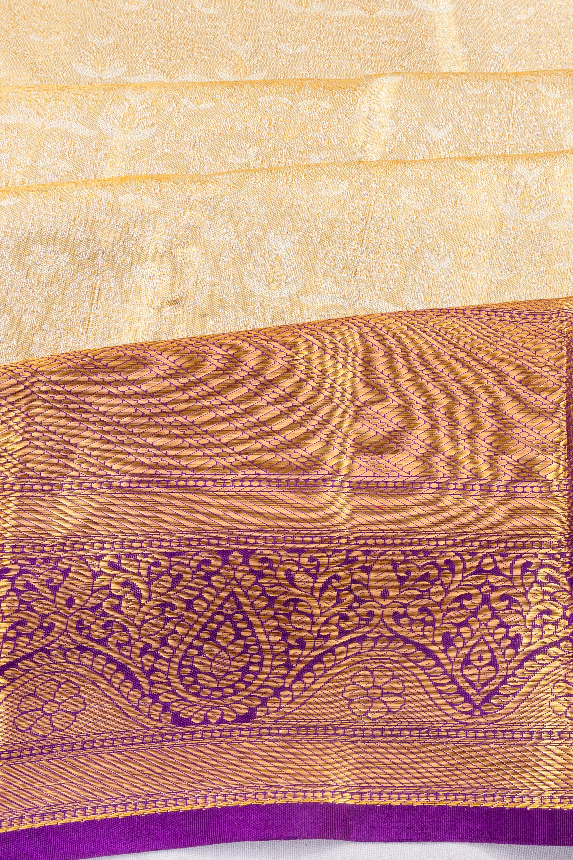 Taranga Kanchi Silk Tissue Brocade Gold Saree