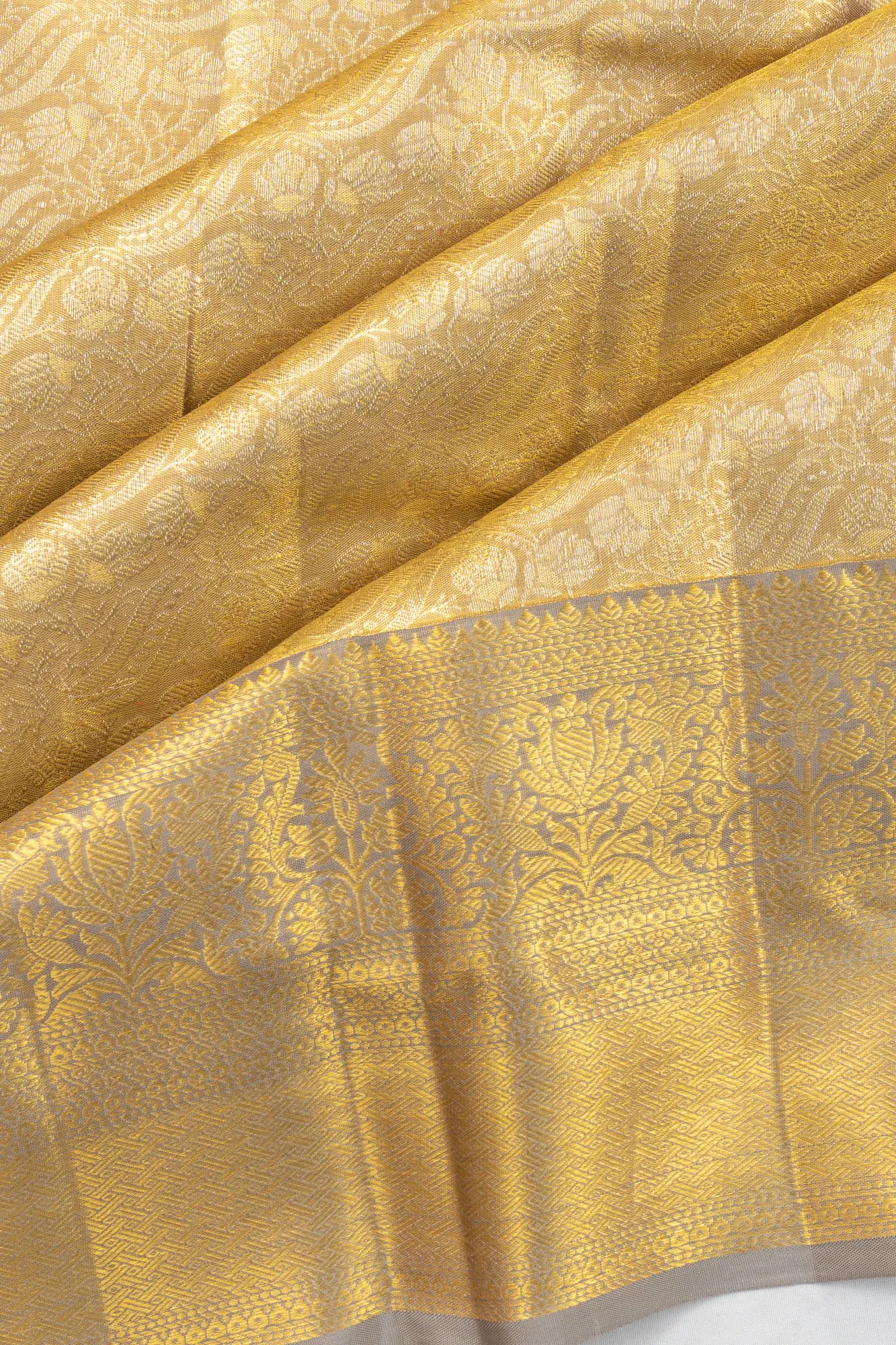 Taranga Kanchi Silk Tissue Brocade Gold Saree