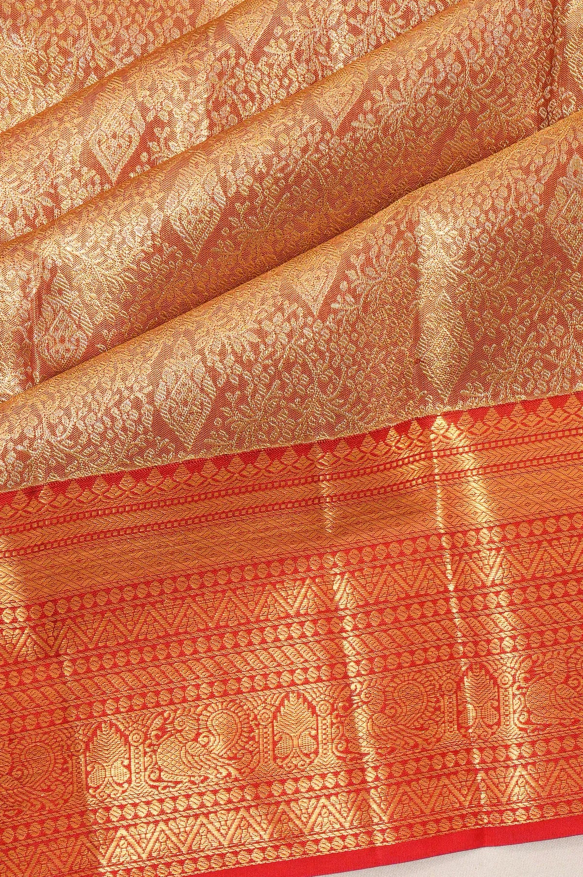 Taranga Kanchi Silk Tissue Brocade Gold Saree