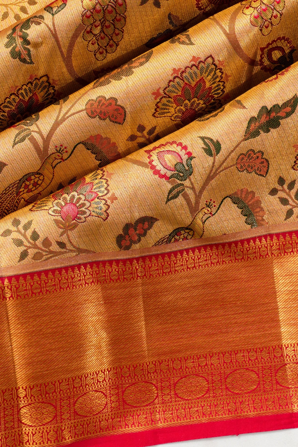 Taranga Kanchi Silk Tissue Jaal Gold Saree