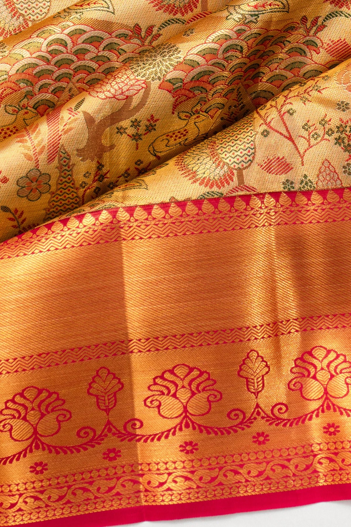 Taranga Kanchi Silk Tissue Brocade Gold Saree