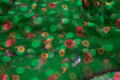 Organza Printed Green Saree