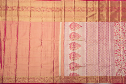 Taranga Kanchi Silk Tissue Jaal Gold Saree