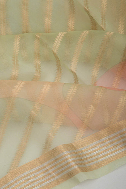 Organza Diagonal Lines Multicolor Saree