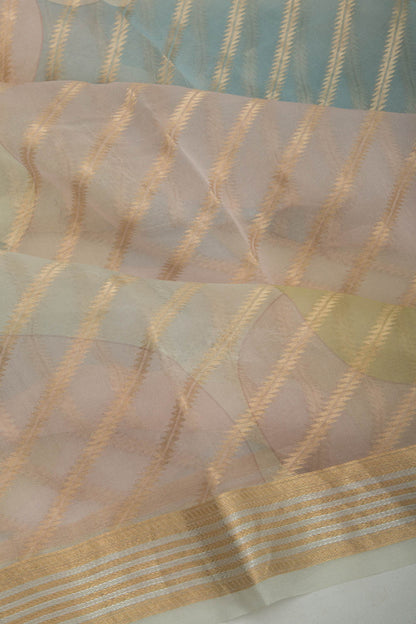 Organza Diagonal Lines Multicolor Saree