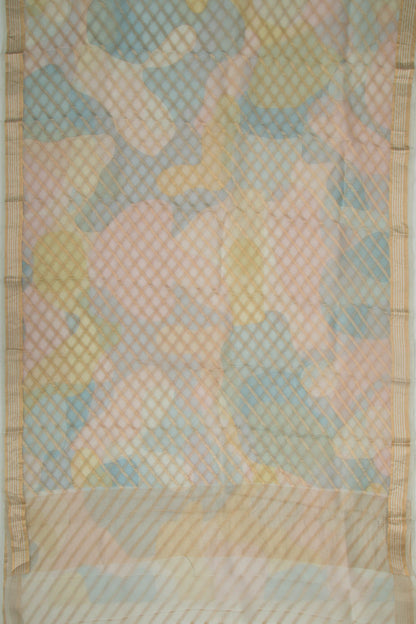 Organza Diagonal Lines Multicolor Saree