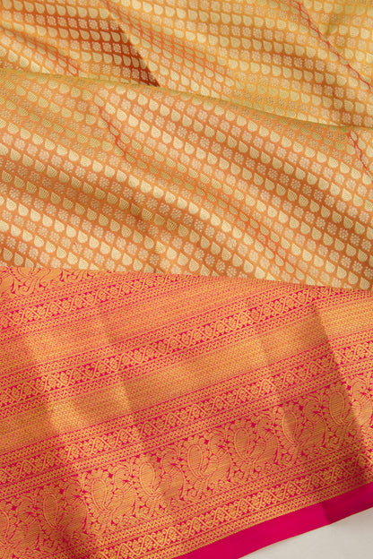 Taranga Kanchi Silk Tissue Brocade Orange Saree