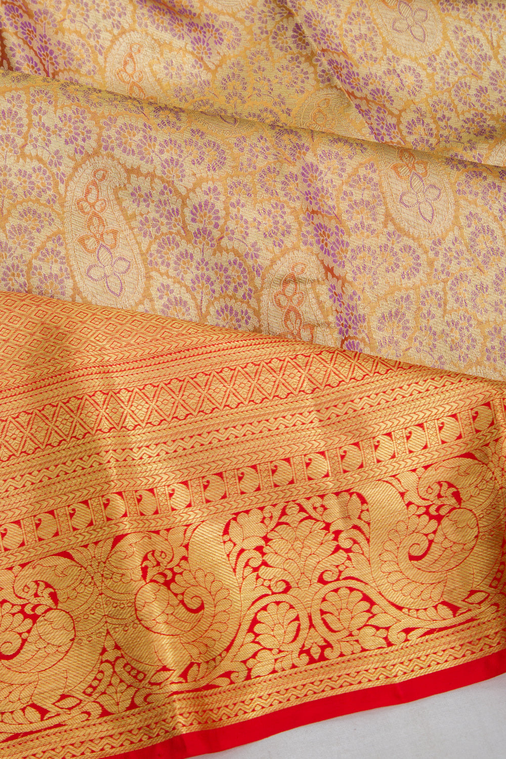 Taranga Kanchi Silk Tissue Brocade Gold Saree