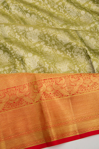 Taranga Kanchi Silk Tissue Brocade Olive Green Saree