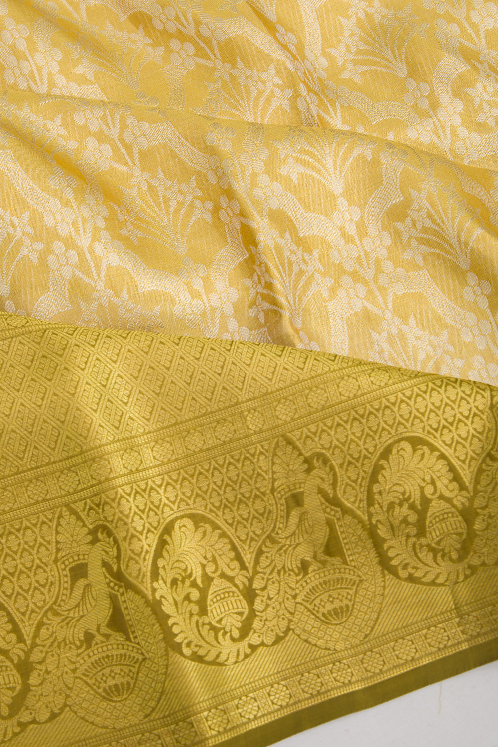Taranga Kanchi Silk Tissue Brocade Gold Saree