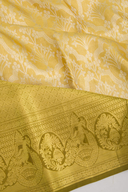 Taranga Kanchi Silk Tissue Brocade Gold Saree