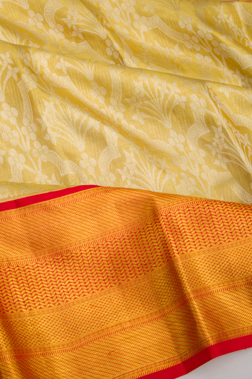 Taranga Kanchi Silk Tissue Brocade Gold Saree