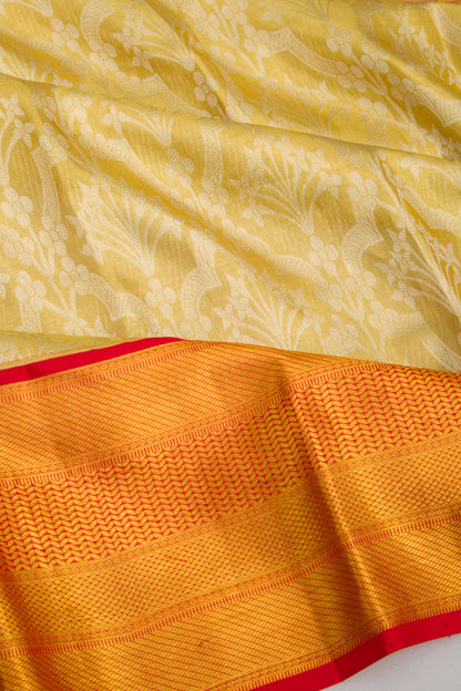 Taranga Kanchi Silk Tissue Brocade Gold Saree