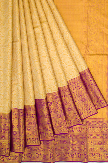 Taranga Kanchi Silk Tissue Jaal Gold Saree