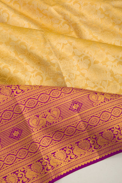 Taranga Kanchi Silk Tissue Jaal Gold Saree