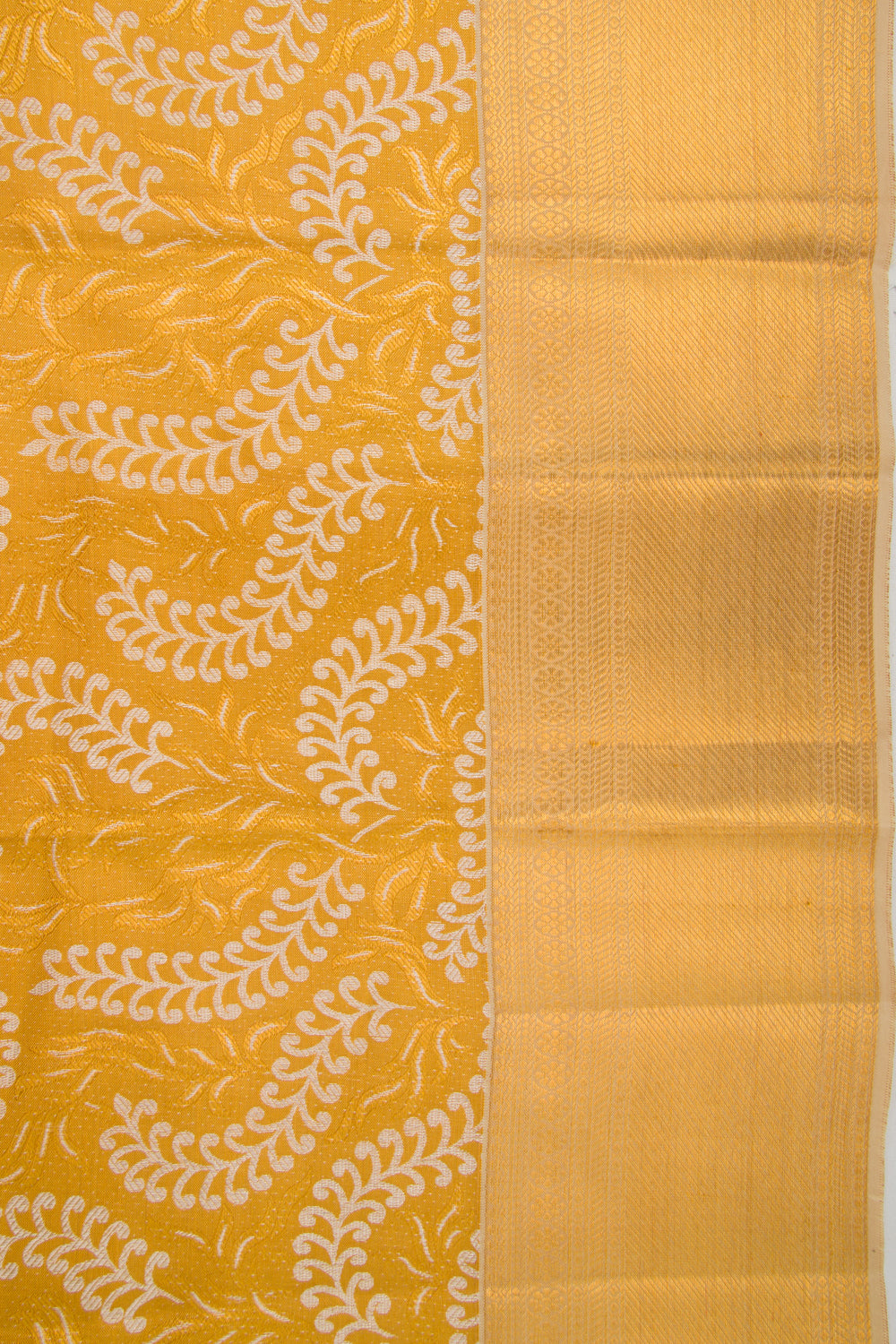 Taranga Kanchi Silk Tissue Brocade Gold Saree