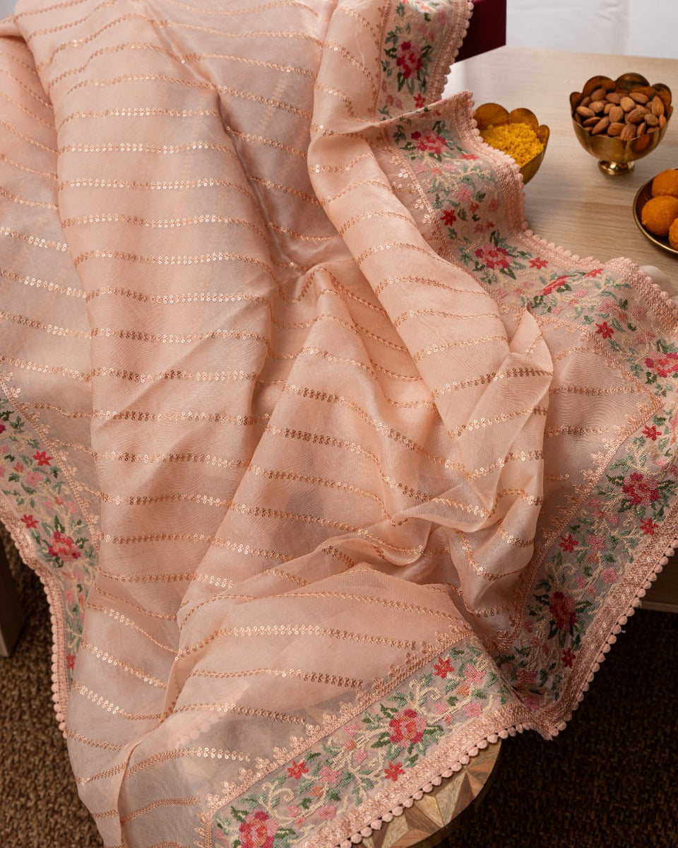 Organza Embroidery Lines Peach Saree