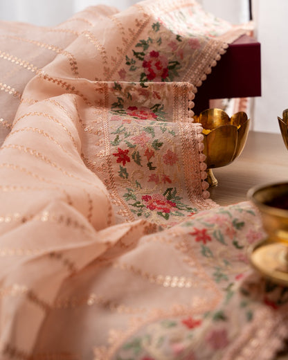 Organza Embroidery Lines Peach Saree