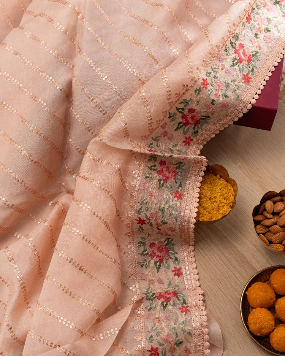 Organza Embroidery Lines Peach Saree