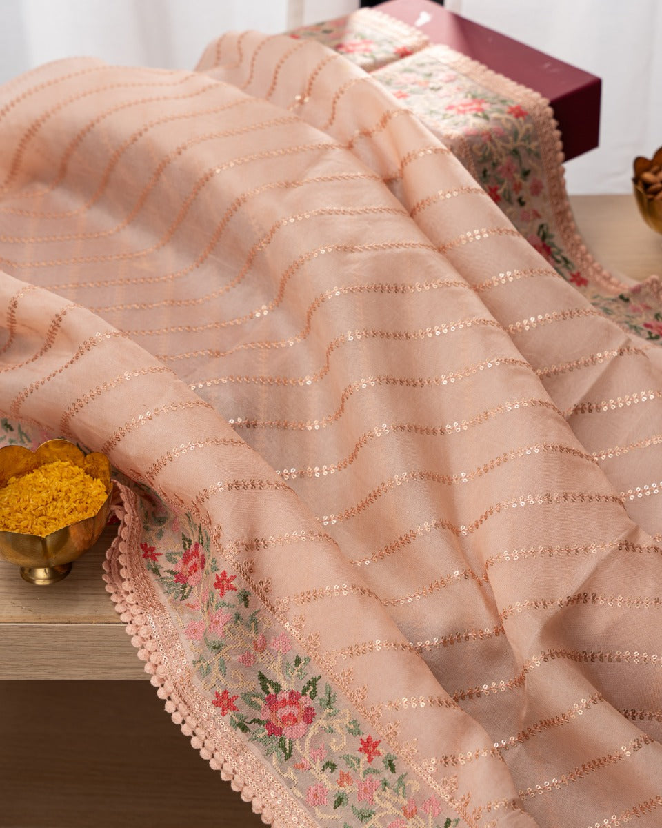 Organza Embroidery Lines Peach Saree