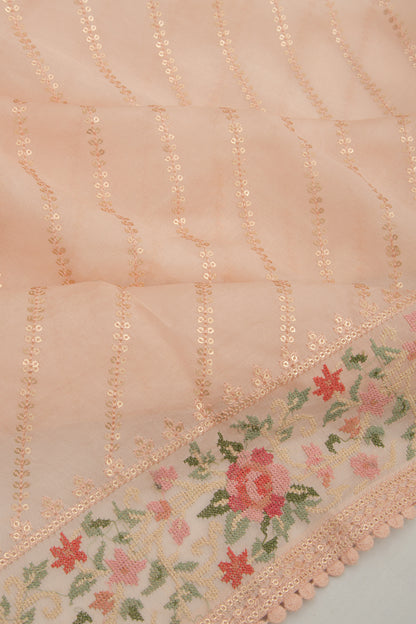 Organza Embroidery Lines Peach Saree