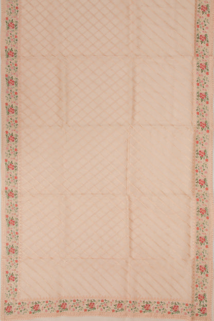 Organza Embroidery Lines Peach Saree