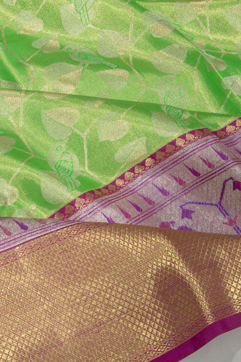 Taranga Kanchi Silk Tissue Jaal Green Saree