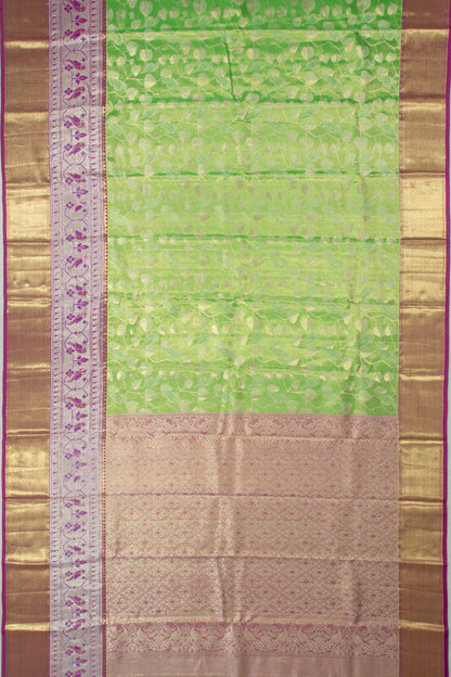 Taranga Kanchi Silk Tissue Jaal Green Saree