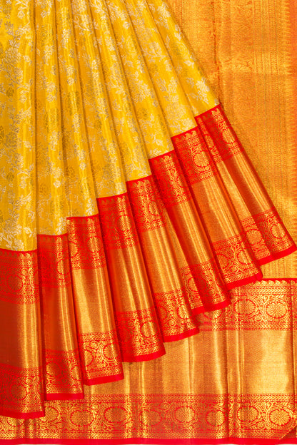 Kanchipuram Silk Tissue Brocade Gold Saree