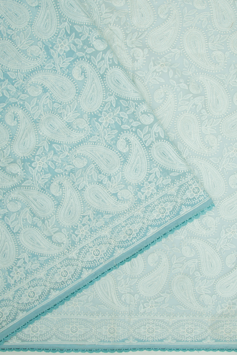 Organza Floral Embroidery Pastel Blue Saree