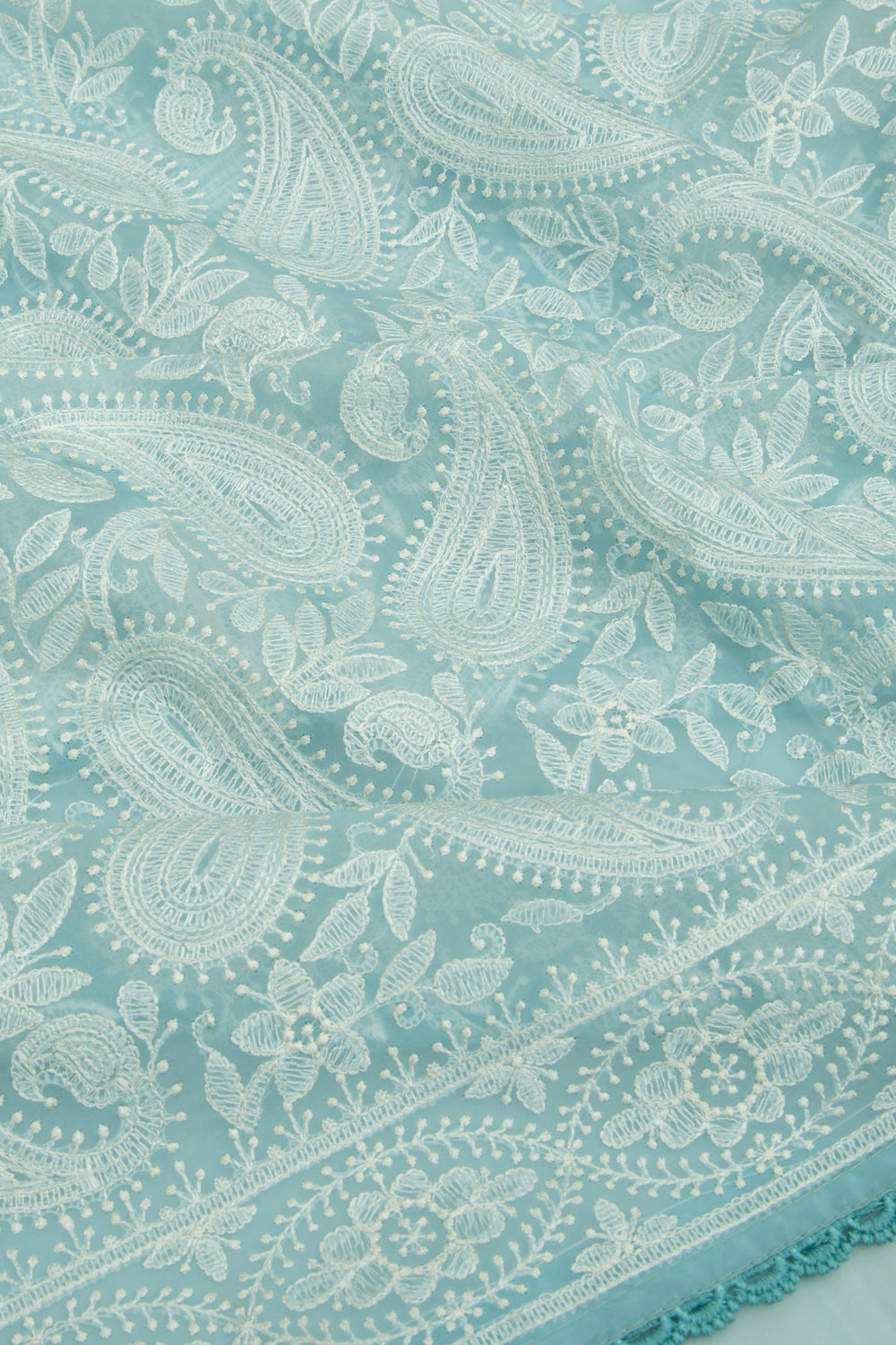 Organza Floral Embroidery Pastel Blue Saree